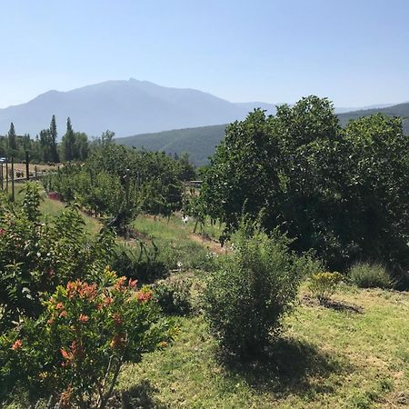 Els Pirineus Apartment Moltig les Bains ภายนอก รูปภาพ