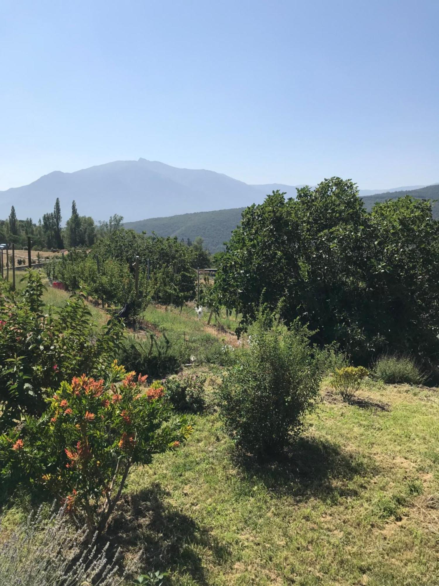 Els Pirineus Apartment Moltig les Bains ภายนอก รูปภาพ